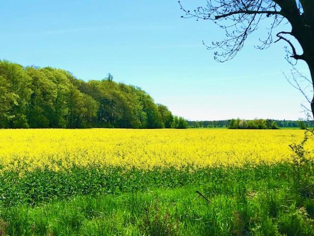 Ferienhaus Neumann - Ein Ganzes Haus Fuer Ihren Urlaub! Hessenburg Esterno foto